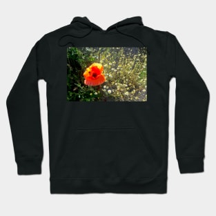 Red Poppy Daisy Chain Nature's Garden Hoodie